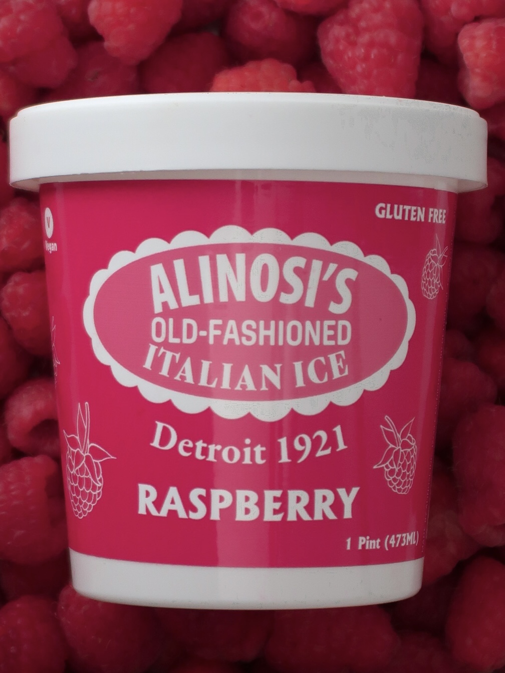 ALINOSI Raspberry Italian Ice pint surrounded by fruit